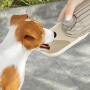 Wholesale Custom Logo Portable Travel Cheap Pet Dog Water Bottle With Food Storage
