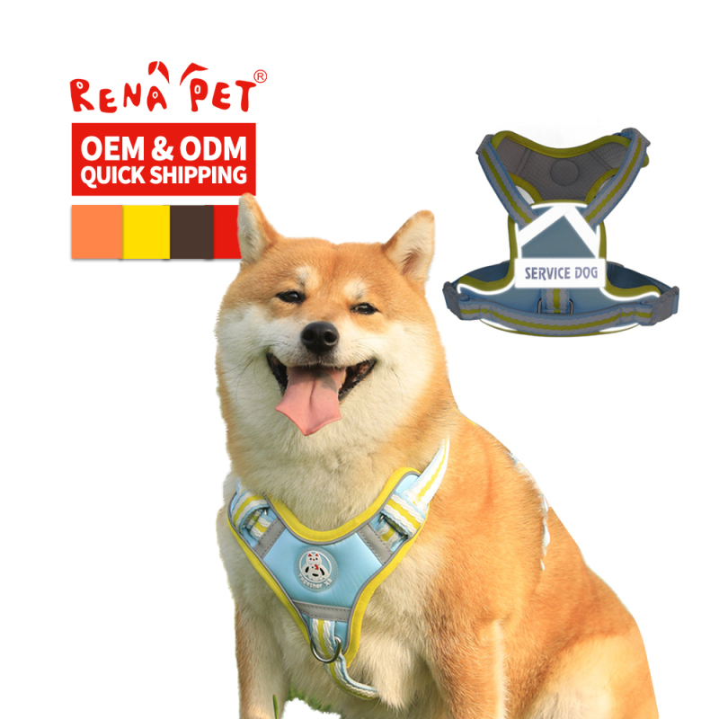 Wholesale Pet Supplier Custom Logo Pet Dog Vest Harness and Leash