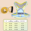 Blue harness +leash