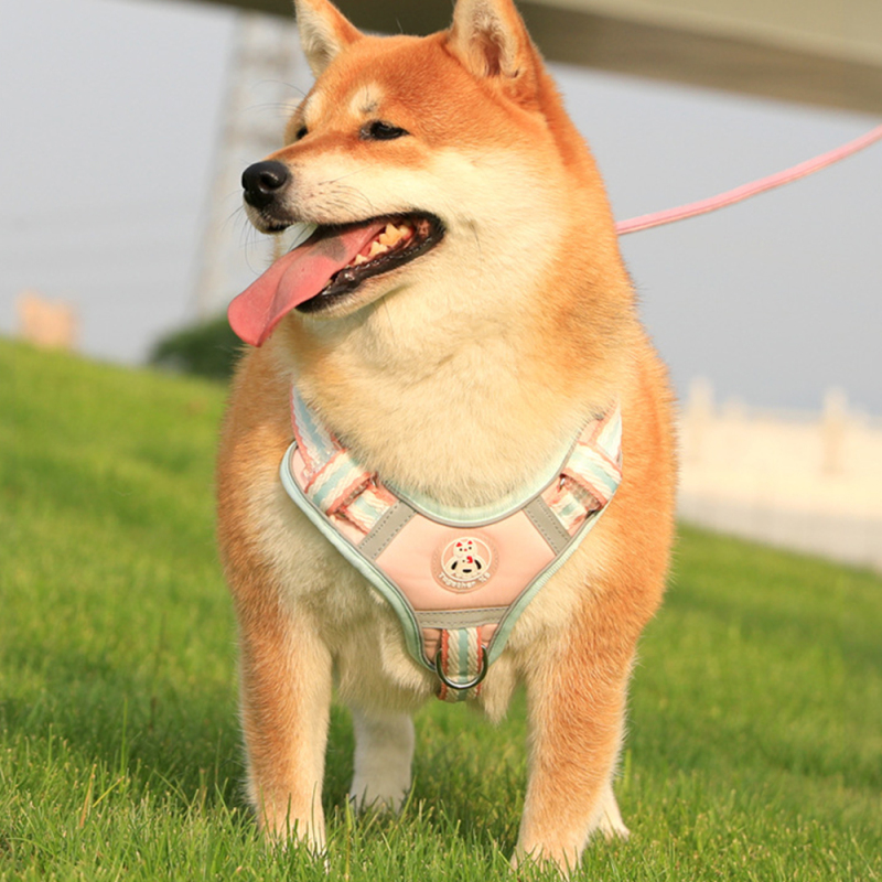 Wholesale Pet Supplier Custom Logo Pet Dog Vest Harness and Leash