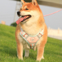 Wholesale Pet Supplier Custom Logo Pet Dog Vest Harness and Leash