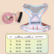 Pink harness +leash