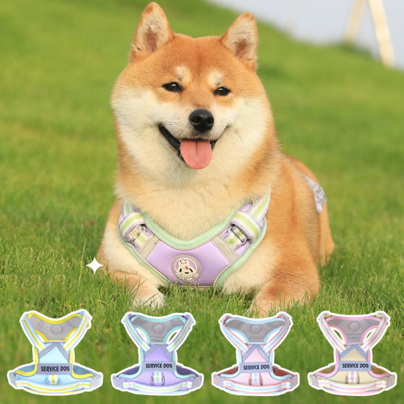 Wholesale Pet Supplier Custom Logo Pet Dog Vest Harness and Leash
