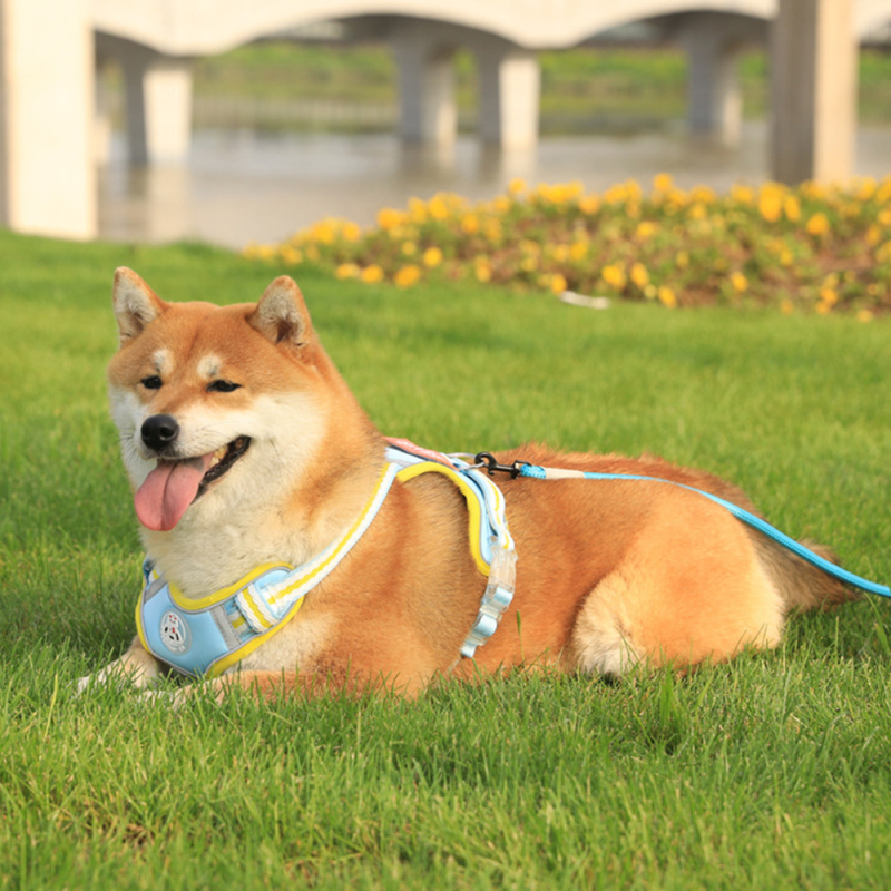 Wholesale Pet Supplier Custom Logo Pet Dog Vest Harness and Leash