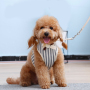 Manufacturer wholesale custom logo multi colors breathable adjustable pet cat dog harness with leash