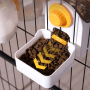 Wholesale Indoor Hang Dog Food Dispenser