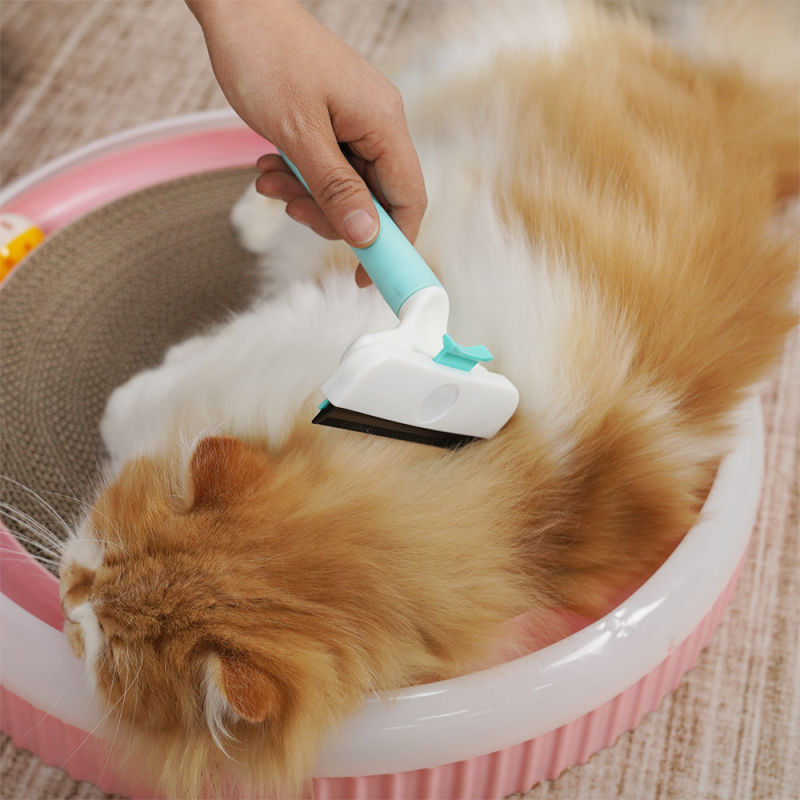 Wholesale Grooming Tool Dog Cat Hair Brush