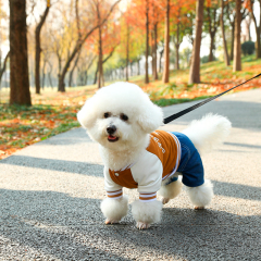 Manufacturer Wholesale OEM Popular Fashion Comfortable Pet Jeans Dog Hoodie