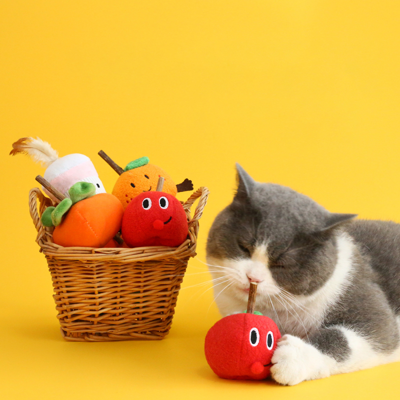 Manufacturer wholesale fruit design plush cat toys with silvervine