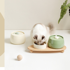 Manufacturer wholesale electric green beige cat luxury bowls with water fountain