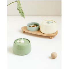 Manufacturer wholesale electric green beige cat luxury bowls with water fountain