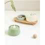 Manufacturer wholesale electric green beige cat luxury bowls with water fountain