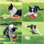 New ecofriendly free samples squeaky rope plush dog chew toys