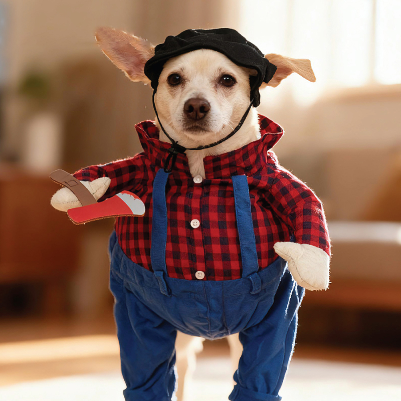 Wholesale Halloween Funny Pet Clothes Dog Costume
