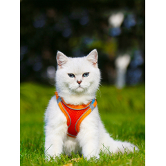 Manufacturer wholesale reflective multi-colors dog harness breathable