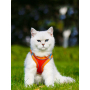 Manufacturer wholesale reflective multi-colors dog harness breathable