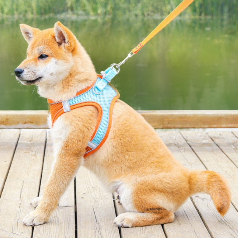 Manufacturer wholesale reflective multi-colors dog harness breathable