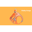 Orange harness