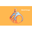 Orange blue harness