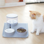 Wholesale Plastic Pet Feeder Dog Cat Water Fountain and Food Bowl