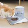 Wholesale Plastic Pet Feeder Dog Cat Water Fountain and Food Bowl