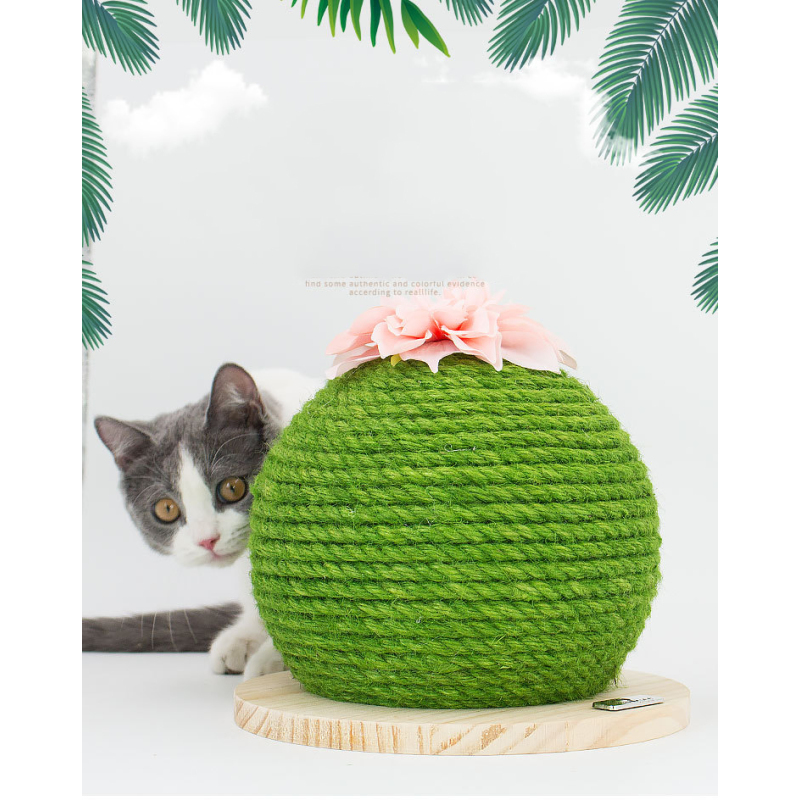 Manufacturer wholesale sisal wood cat cactus scratcher toy