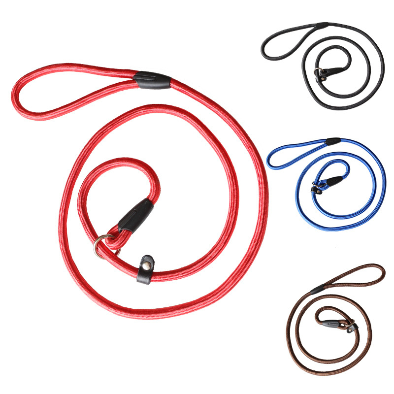 Manufacturer wholesale multi-colors pet dog nylon training leash