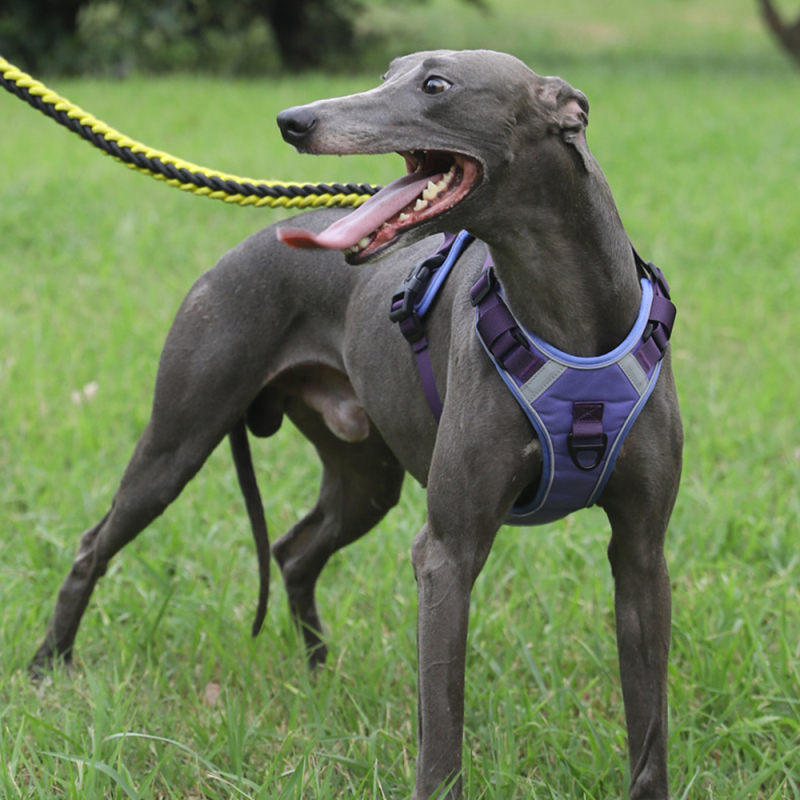 Wholesale Custom Logo Breathable Reflective Strips Pet Harness