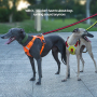 Wholesale Custom Logo Breathable Reflective Strips Pet Harness