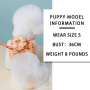 Manufacturer Wholesale Cute Design Breathable Mesh Small Dog Harness with Bag