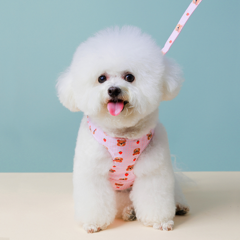 Manufacturer Wholesale Cute Design Breathable Mesh Small Dog Harness with Bag