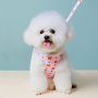 Manufacturer Wholesale Cute Design Breathable Mesh Small Dog Harness with Bag