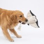 Wholesale Custom Logo Chew Stuffed Dog Plush Toys