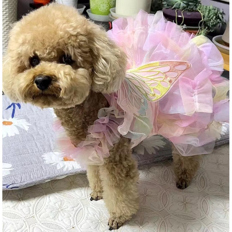 Wholesale Embroidered Butterfly Design Luxury Pet Accessories Clothes Cat Dog Dress