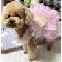 Wholesale Embroidered Butterfly Design Luxury Pet Accessories Clothes Cat Dog Dress