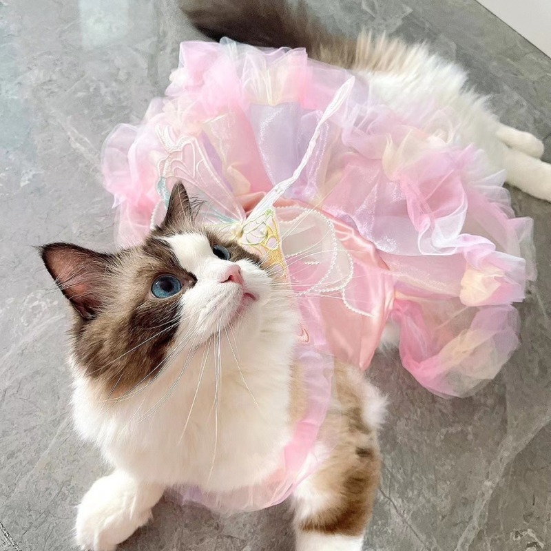 Wholesale Embroidered Butterfly Design Luxury Pet Accessories Clothes Cat Dog Dress