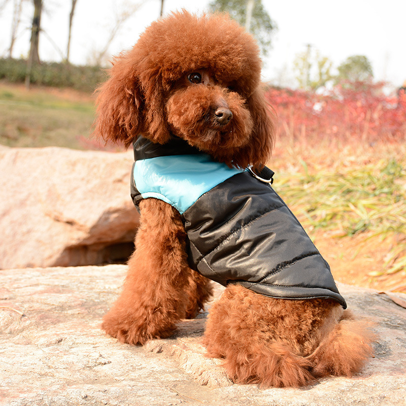 Manufacturer wholesale designer multi-colors warm cotton stuffed pet dog coat for winter use