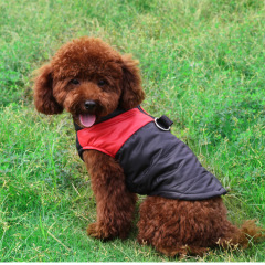 Manufacturer wholesale designer multi-colors warm cotton stuffed pet dog coat for winter use