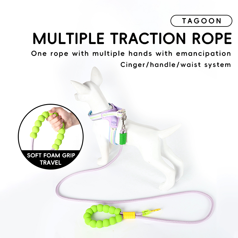 Manufacturer Wholesale Nylon Pet Dog Leash with Pothook