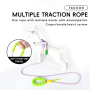 Manufacturer Wholesale Nylon Pet Dog Leash with Pothook
