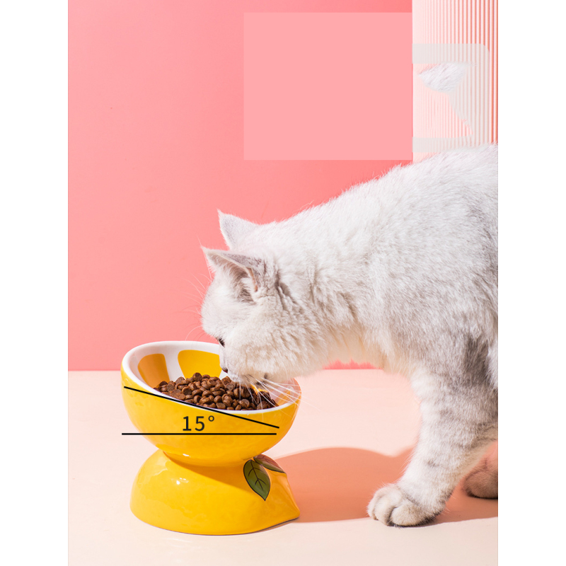 Wholesale Elevated Ceramic Cat Bowl Tall