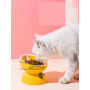 Wholesale Elevated Ceramic Cat Bowl Tall
