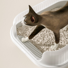 Wholesale Heighten Fence Plastic Detachable Scoop Large Cat Litter Tray