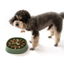 Manufacturer wholesale pink blue green yellow plastic slow feeder dog bowl time design