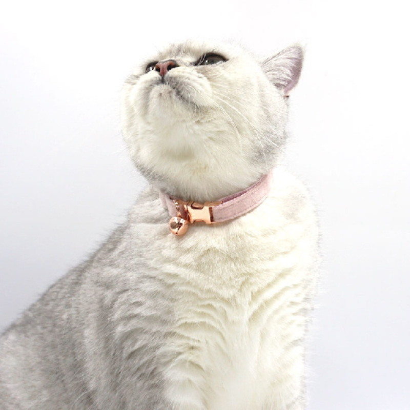 Wholesale Velvet Collar for Cat