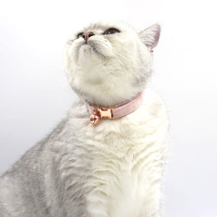 Wholesale Velvet Collar for Cat