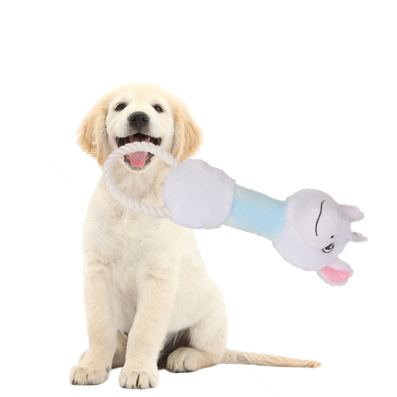 Manufacturer wholesale cute macaron color colorful soft plush dog white toys with rope set
