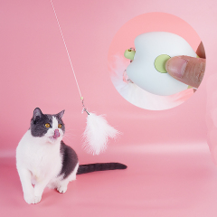 Manufacturer wholesale multifunctional feather adjustable teaser cat laser toy battery