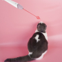 Manufacturer wholesale multifunctional feather adjustable teaser cat laser toy battery