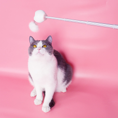 Manufacturer wholesale multifunctional feather adjustable teaser cat laser toy battery